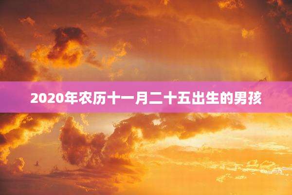 2020年农历十一月二十五出生的男孩