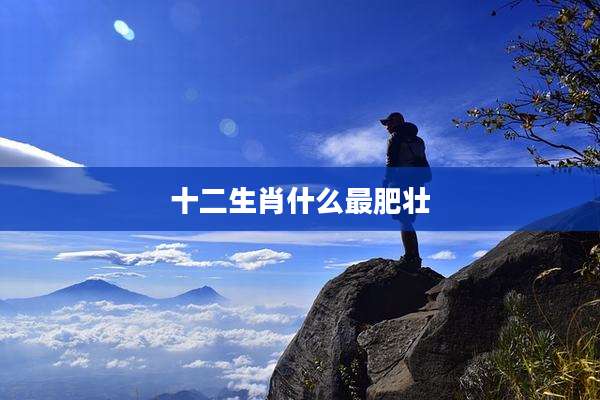 十二生肖什么最肥壮