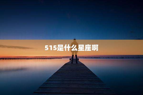 515是什么星座啊