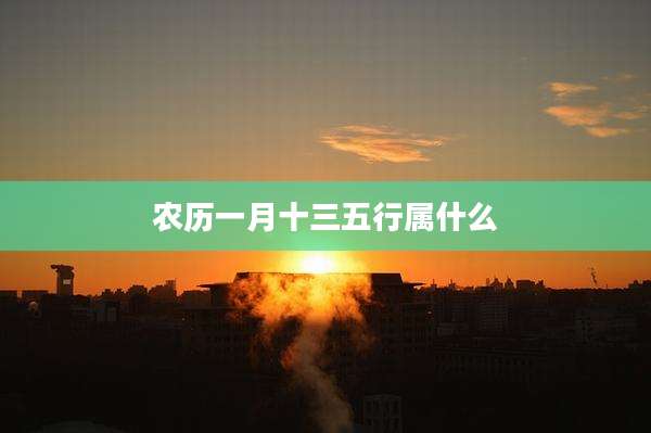 农历一月十三五行属什么