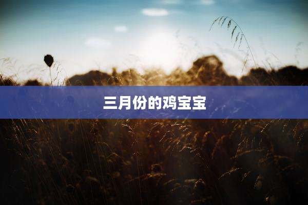 三月份的鸡宝宝