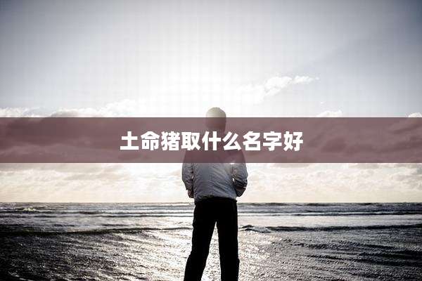 土命猪取什么名字好