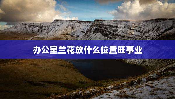 办公室兰花放什么位置旺事业