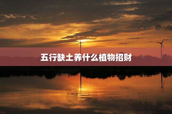 五行缺土养什么植物招财