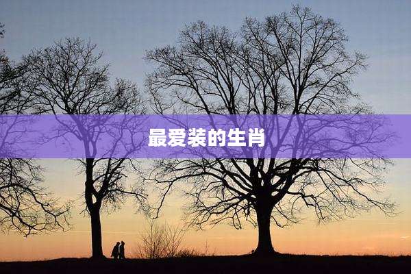 最爱装的生肖
