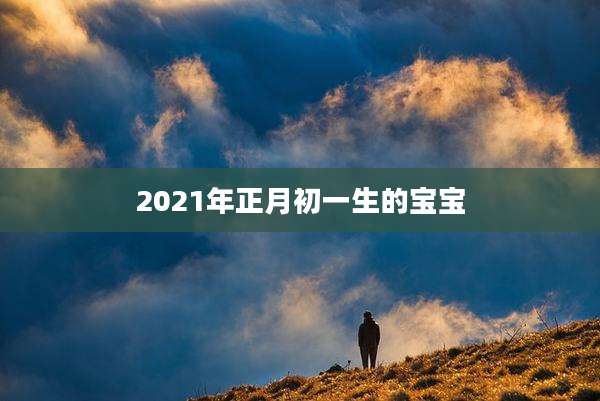 2021年正月初一生的宝宝