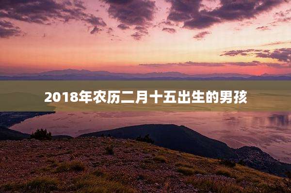 2018年农历二月十五出生的男孩