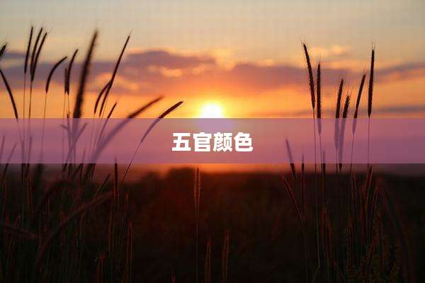 五官颜色