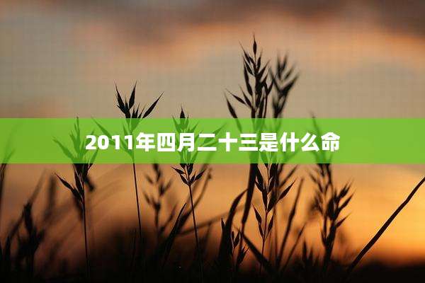 2011年四月二十三是什么命