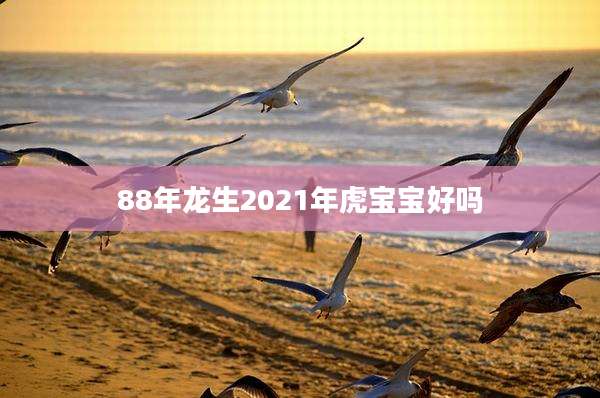 88年龙生2021年虎宝宝好吗