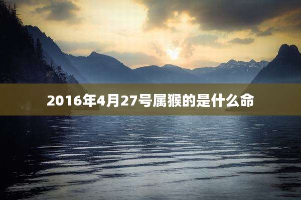 2016年4月27号属猴的是什么命