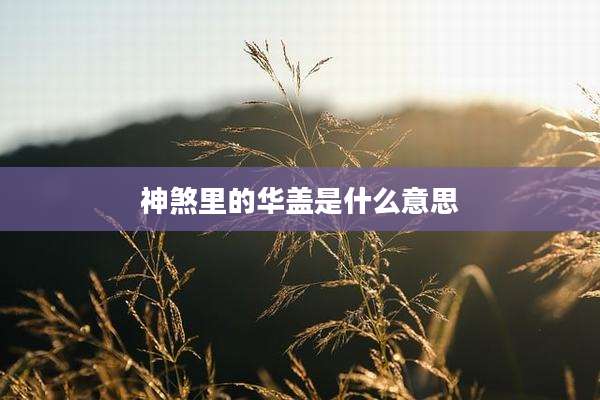 神煞里的华盖是什么意思