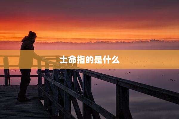 土命指的是什么