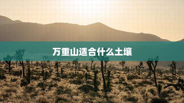 万重山适合什么土壤