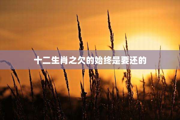 十二生肖之欠的始终是要还的