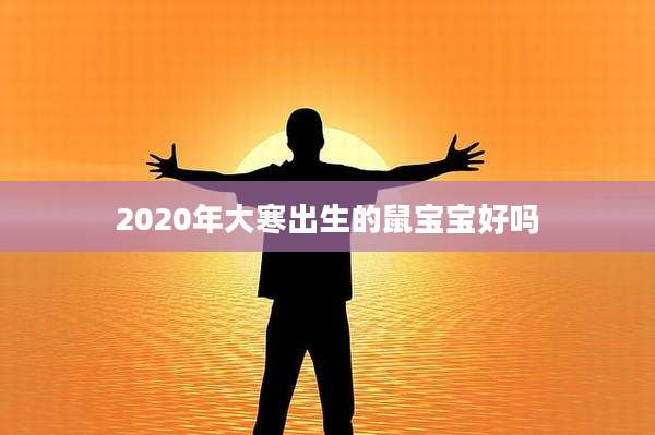 2020年大寒出生的鼠宝宝好吗