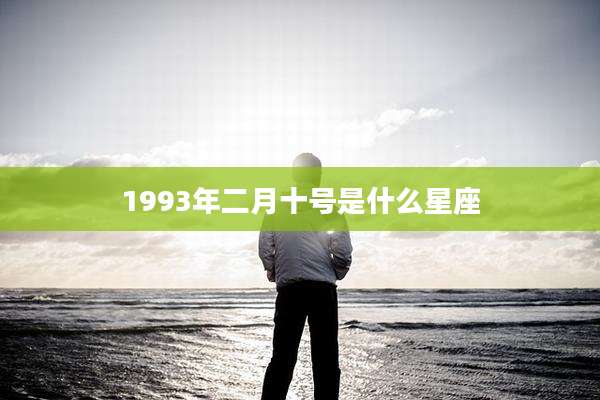 1993年二月十号是什么星座