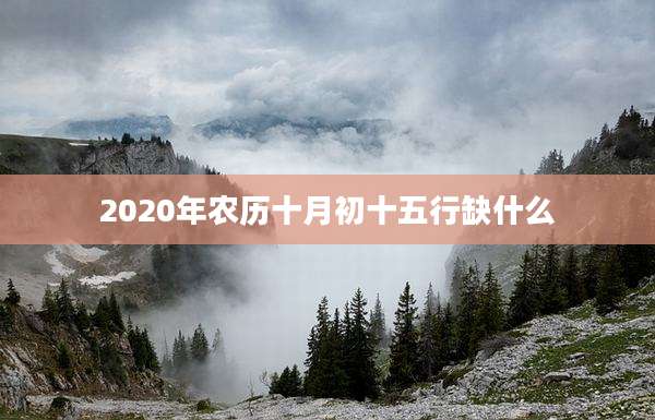 2020年农历十月初十五行缺什么