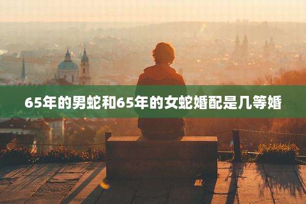 65年的男蛇和65年的女蛇婚配是几等婚