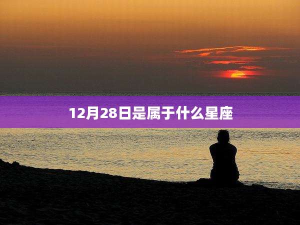 12月28日是属于什么星座