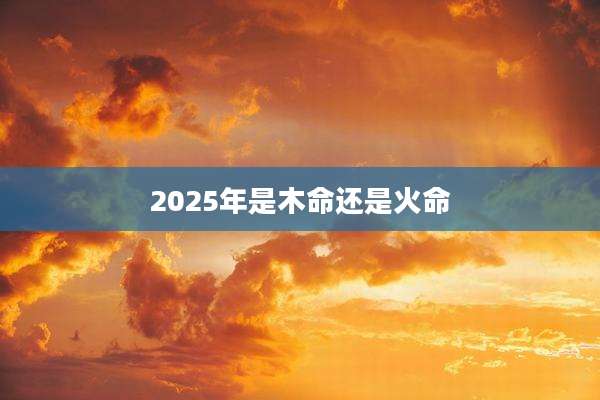 2025年是木命还是火命