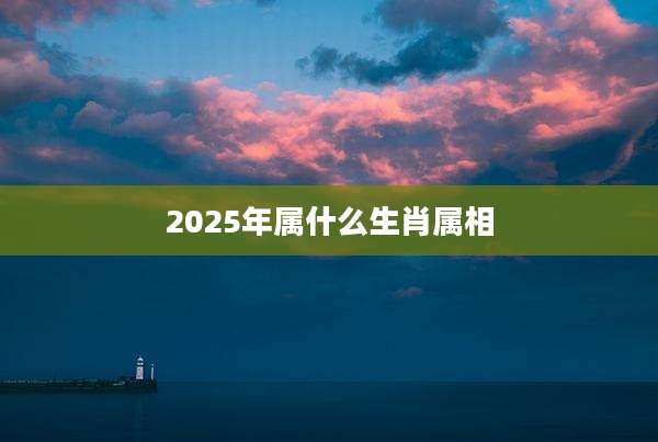 2025年属什么生肖属相