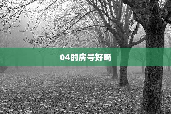 04的房号好吗