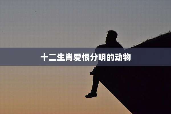 十二生肖爱恨分明的动物
