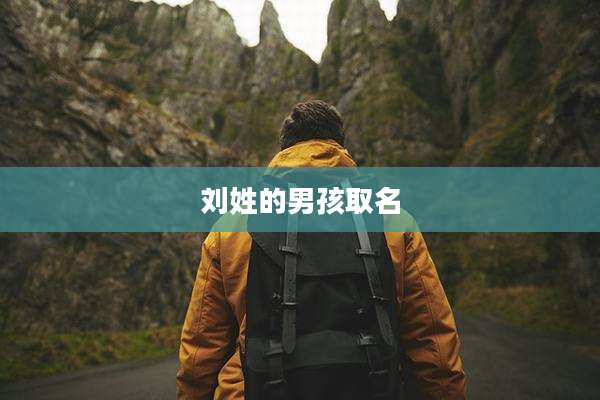 刘姓的男孩取名