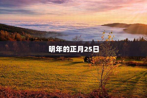 明年的正月25日