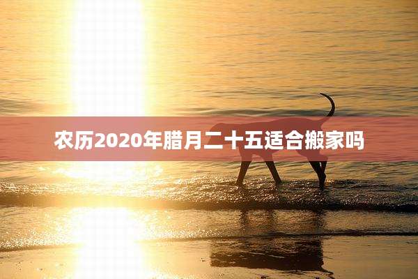 农历2020年腊月二十五适合搬家吗