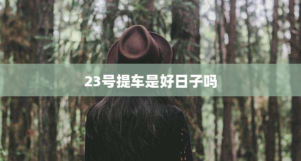23号提车是好日子吗