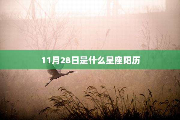11月28日是什么星座阳历