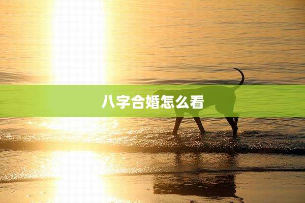 八字合婚怎么看