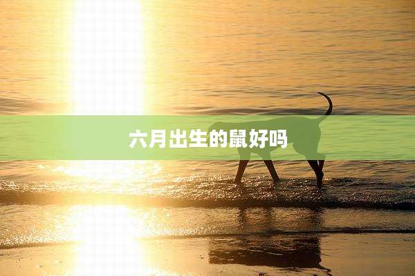 六月出生的鼠好吗