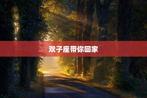 双子座带你回家