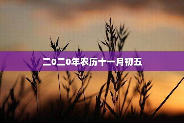 二0二0年农历十一月初五