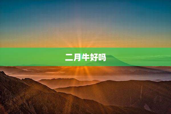 二月牛好吗