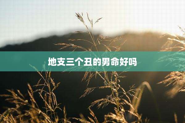 地支三个丑的男命好吗