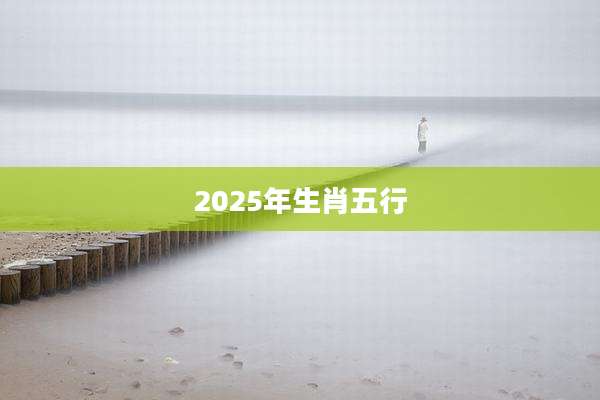 2025年生肖五行