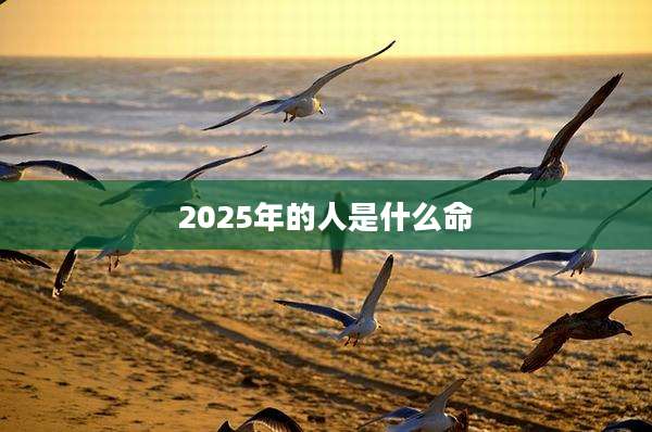 2025年的人是什么命