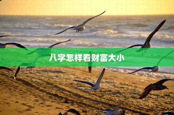 八字怎样看财富大小