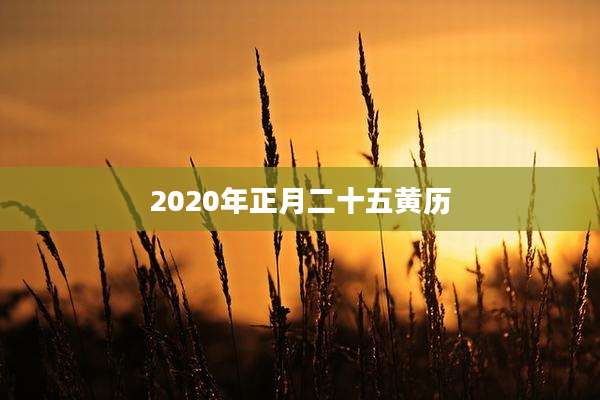 2020年正月二十五黄历
