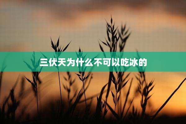 三伏天为什么不可以吃冰的