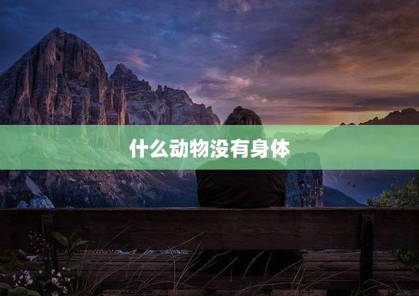 什么动物没有身体
