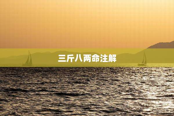 三斤八两命注解