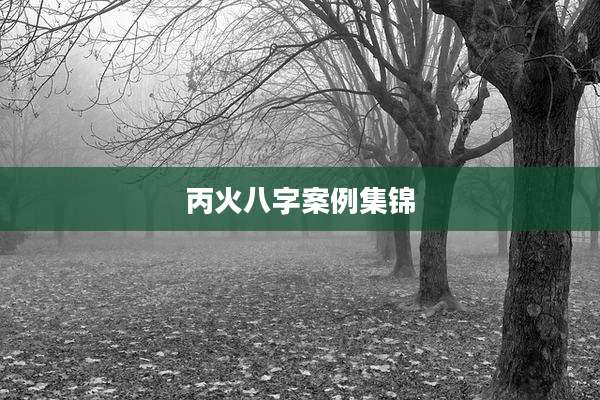 丙火八字案例集锦