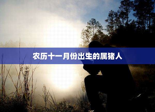 农历十一月份出生的属猪人