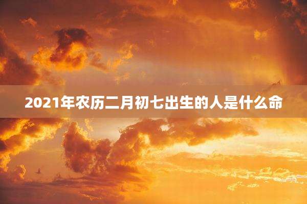 2021年农历二月初七出生的人是什么命