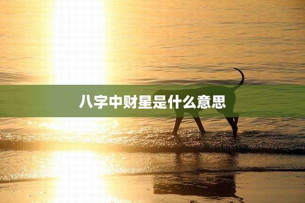 八字中财星是什么意思